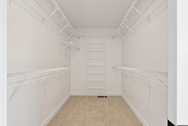 18436 56th Ct N, Plymouth, MN 55446 - walk in closet with light carpet