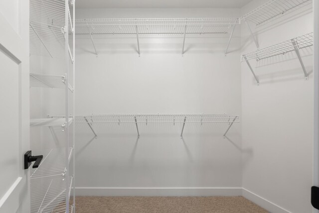18436 56th Ct N, Plymouth, MN 55446 - walk in closet featuring carpet