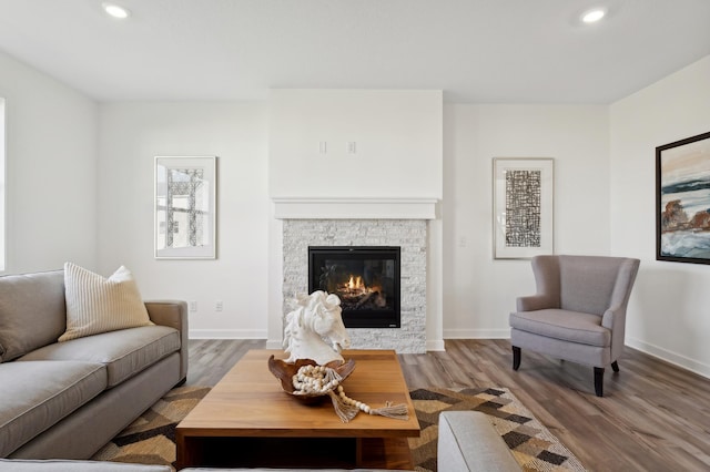 living room with hardwood / wood-style flooring and a stone fireplace