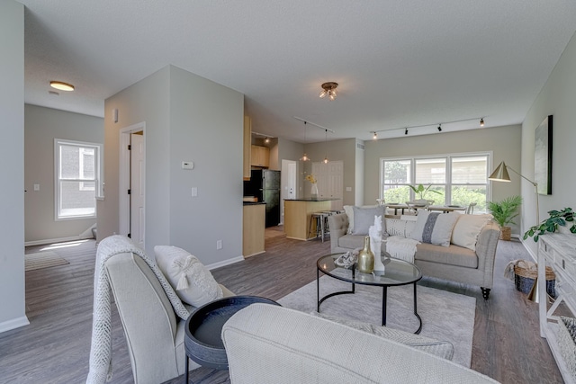 living room featuring rail lighting, a textured ceiling, and dark hardwood / wood-style flooring