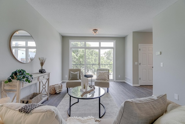 living room featuring hardwood / wood-style flooring and a textured ceiling