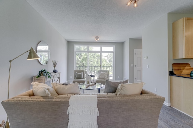 living room featuring hardwood / wood-style floors and a textured ceiling