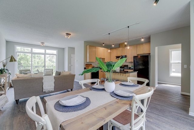 dining room with rail lighting, hardwood / wood-style floors, and a textured ceiling