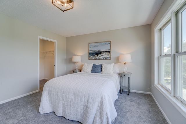 bedroom with a spacious closet, a textured ceiling, a closet, and carpet floors