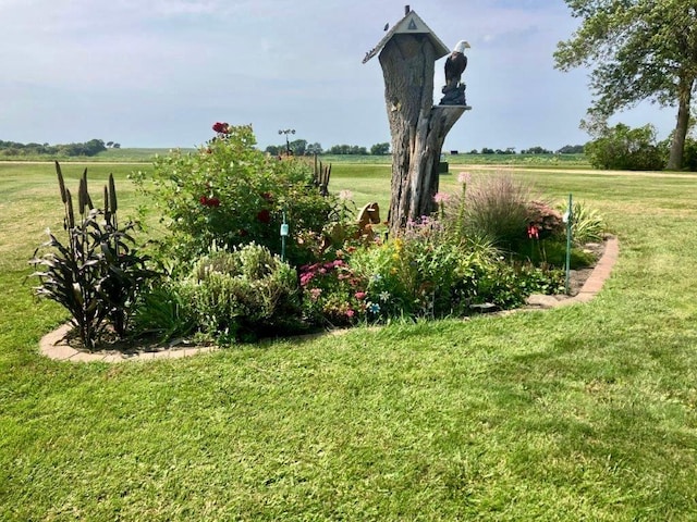 view of yard featuring a rural view