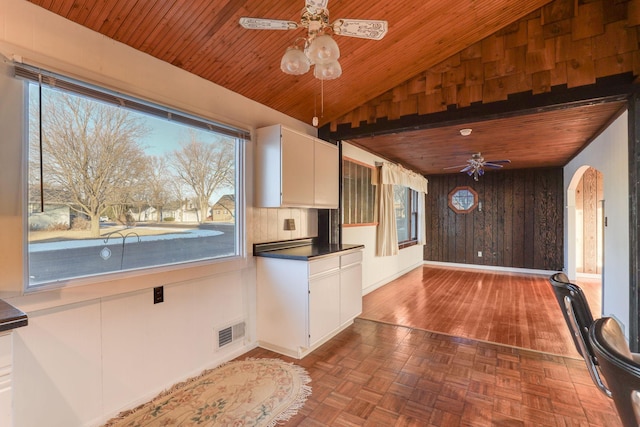 kitchen featuring white cabinetry, a wealth of natural light, and ceiling fan