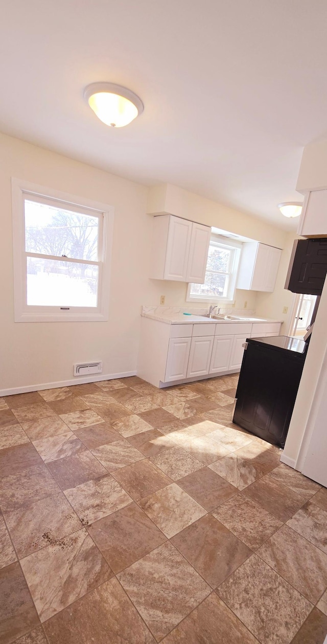 kitchen with white cabinetry, plenty of natural light, and sink