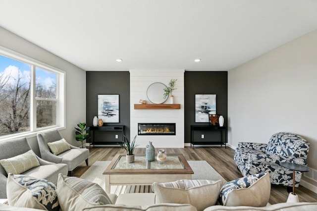 living room featuring a large fireplace and hardwood / wood-style floors