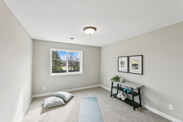 living area featuring carpet floors