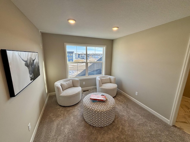 sitting room featuring a textured ceiling and carpet