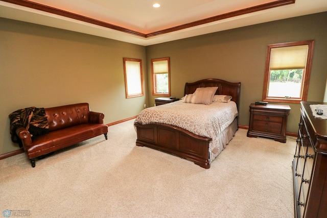 carpeted bedroom with a raised ceiling