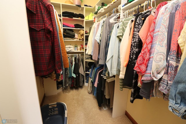 walk in closet featuring light carpet