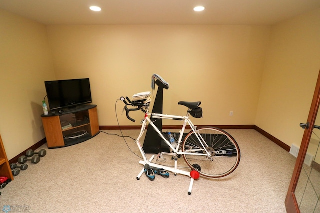 exercise room featuring carpet