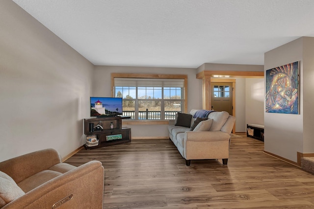 living room with wood-type flooring