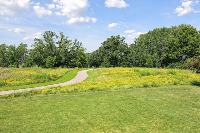 5659 Cheshire Ln N, Plymouth, MN 55446 - photo 46
