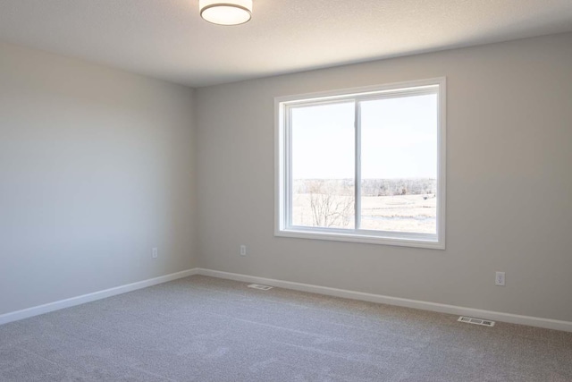 14554 Kingsview Ln N, Dayton, MN 55327 - empty room featuring light carpet and baseboards