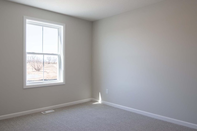 14554 Kingsview Ln N, Dayton, MN 55327 - carpeted empty room with baseboards