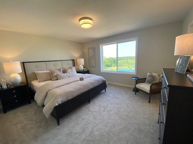 14554 Kingsview Ln N, Dayton, MN 55327 - photo 9