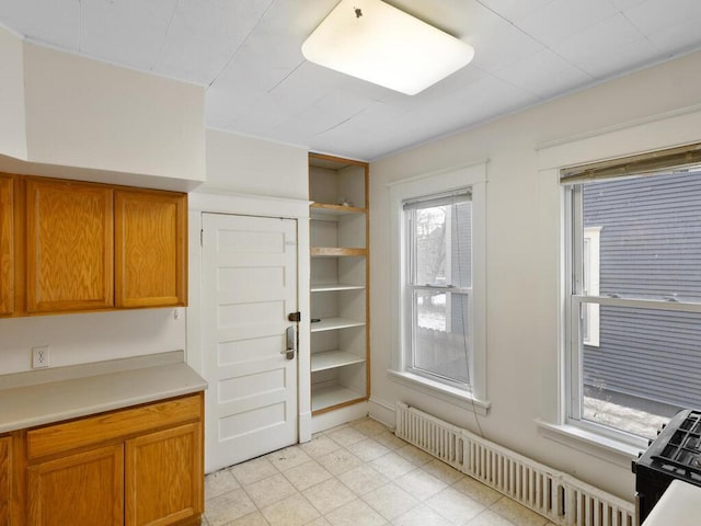 kitchen with radiator and a wealth of natural light