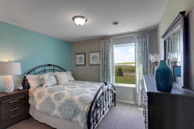 carpeted bedroom featuring multiple windows and a textured ceiling