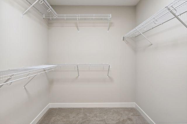 walk in closet with carpet