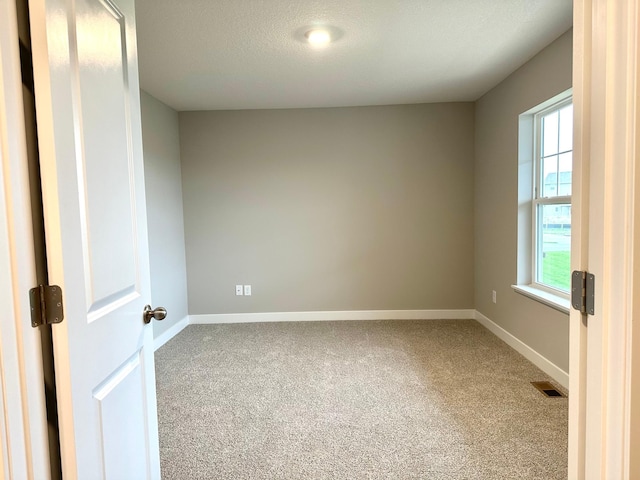 empty room featuring carpet floors and a textured ceiling