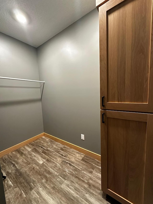 walk in closet featuring wood-type flooring