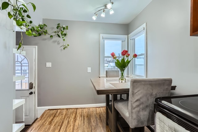 dining room with hardwood / wood-style floors