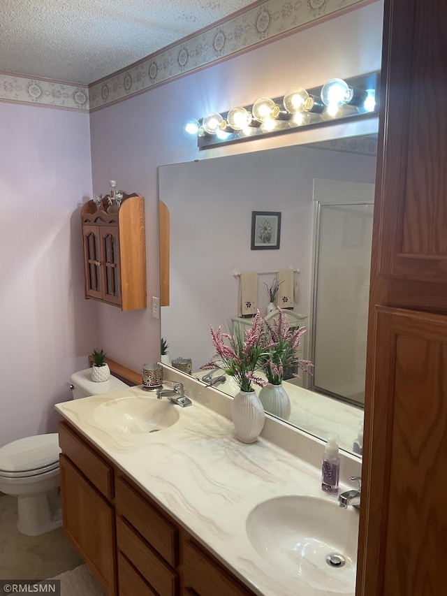 bathroom with vanity, a textured ceiling, and toilet