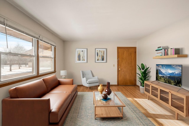 living room with wood-type flooring