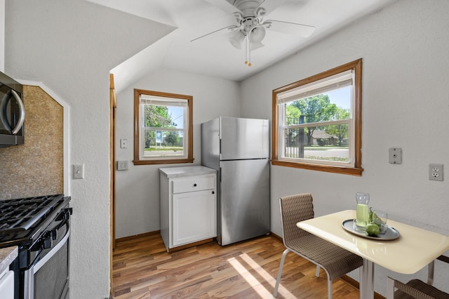 kitchen with appliances with stainless steel finishes, healthy amount of natural light, light wood finished floors, and light countertops