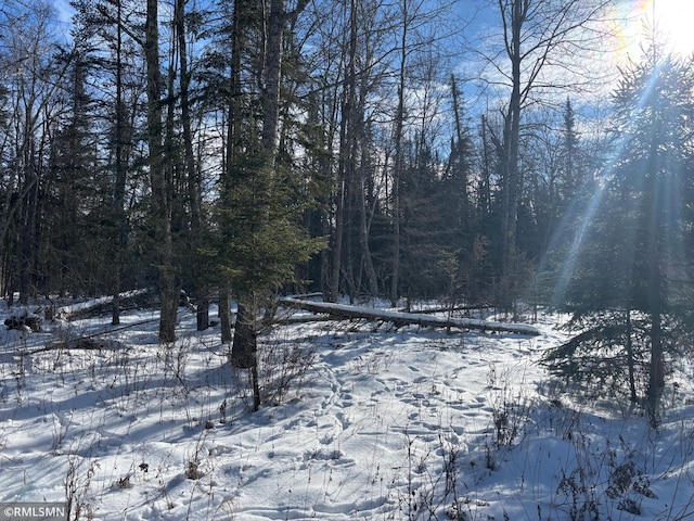 XXX 120th Pl, Tamarack MN, 55787 land for sale