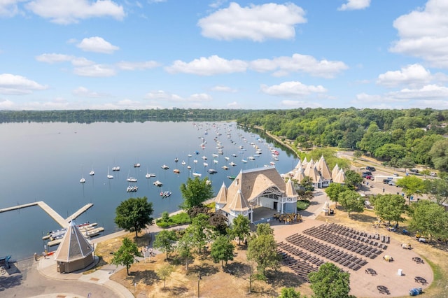 drone / aerial view with a water view