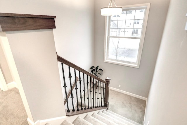 stairs with carpet floors