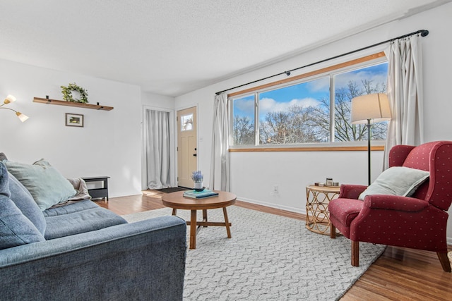 living room with wood-type flooring