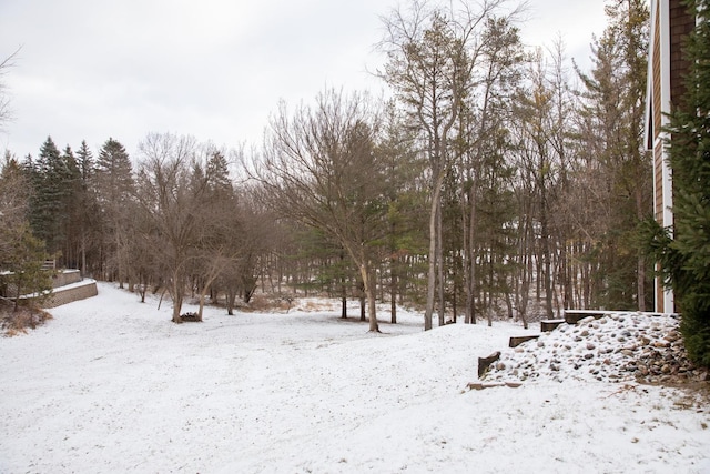 view of snowy landscape