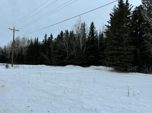 TBD Town Rd Unit 286, International Falls MN, 56649 land for sale