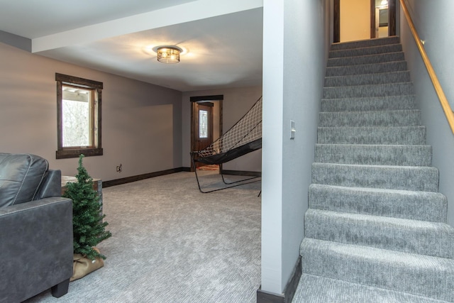 stairs with carpet flooring