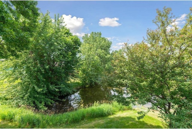 view of landscape