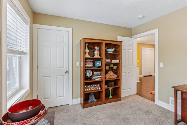 sitting room with light carpet and a textured ceiling