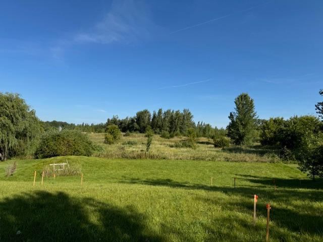 view of yard with a rural view