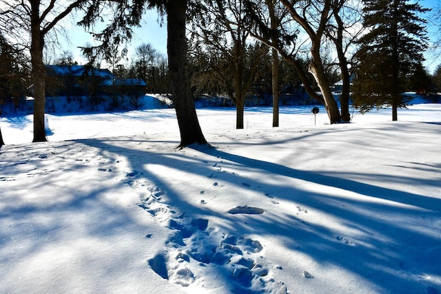 view of yard covered in snow