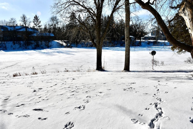 view of snowy yard