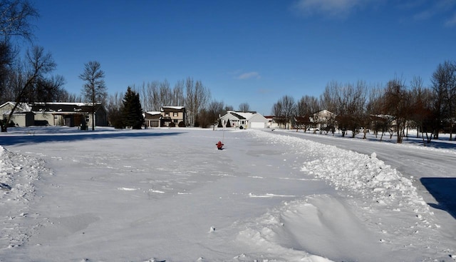 view of snowy yard