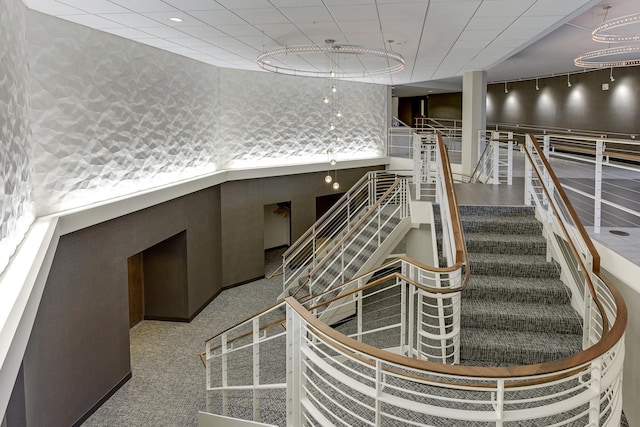 staircase featuring carpet floors