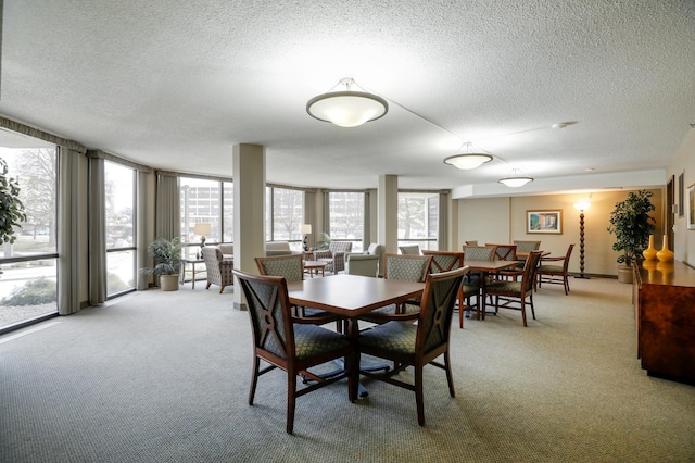 carpeted dining space featuring expansive windows, a textured ceiling, and a wealth of natural light