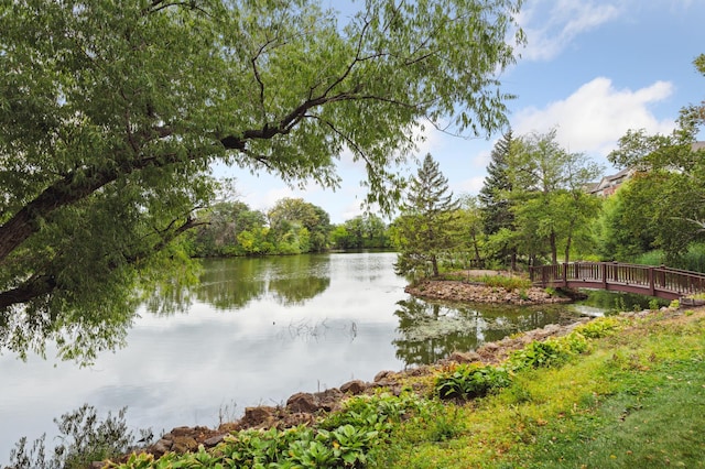 view of water feature