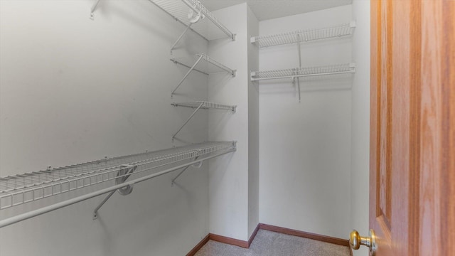 walk in closet with light colored carpet