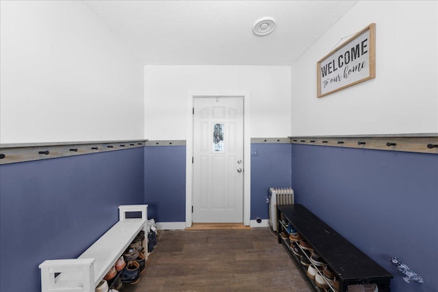 mudroom with dark wood-type flooring and radiator