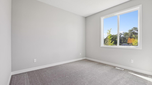 empty room featuring carpet